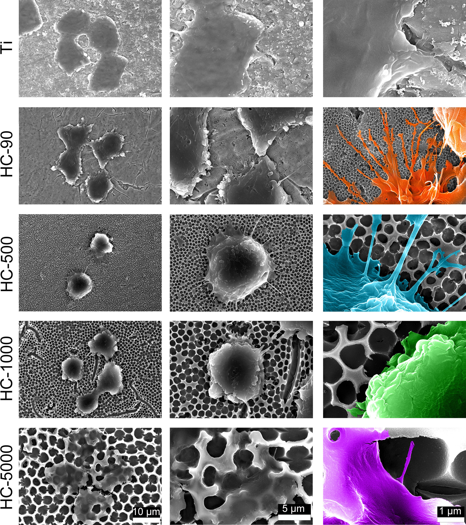 Material surface morphologies of different samples under scanning electron microscope examination.