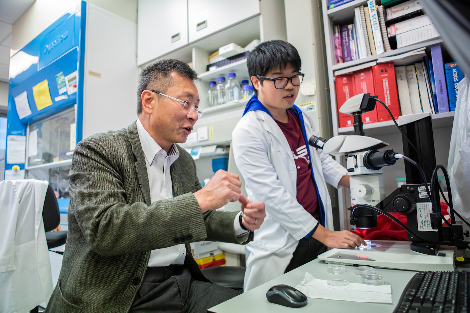 Professor Danny Chan discussing with a student in a laboratory.