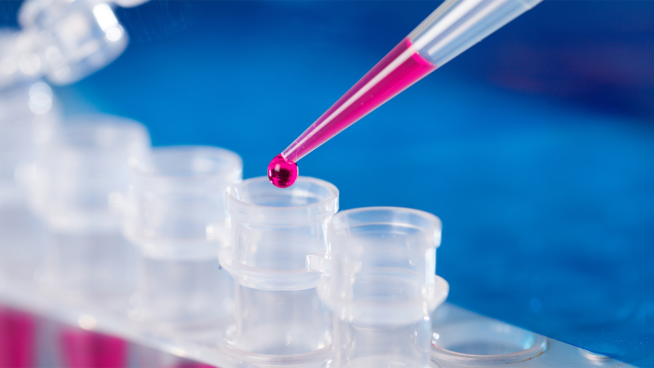 Rapid Test What Does It Do? Health Articles HKUMed