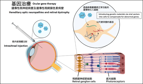 港大醫學院之標誌。