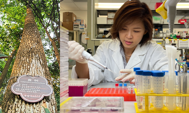 Bobo Mok, a scientific officer in HKU Department of Microbiology.