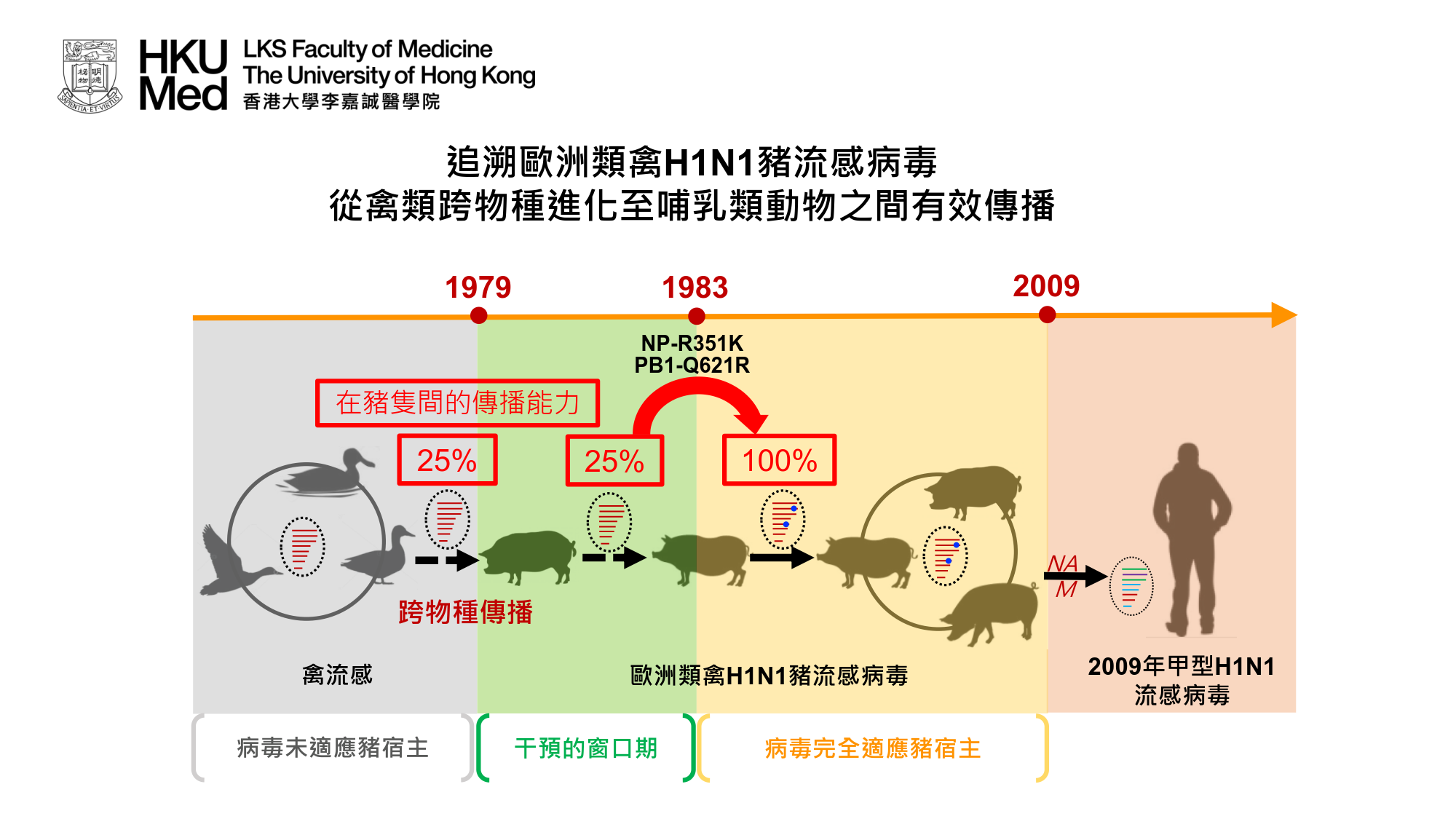 在這項研究中，蘇文博士及其研究團隊分析了促進EA豬流感病毒跨越禽類及哺乳動物種屬屏障的分子機制。 