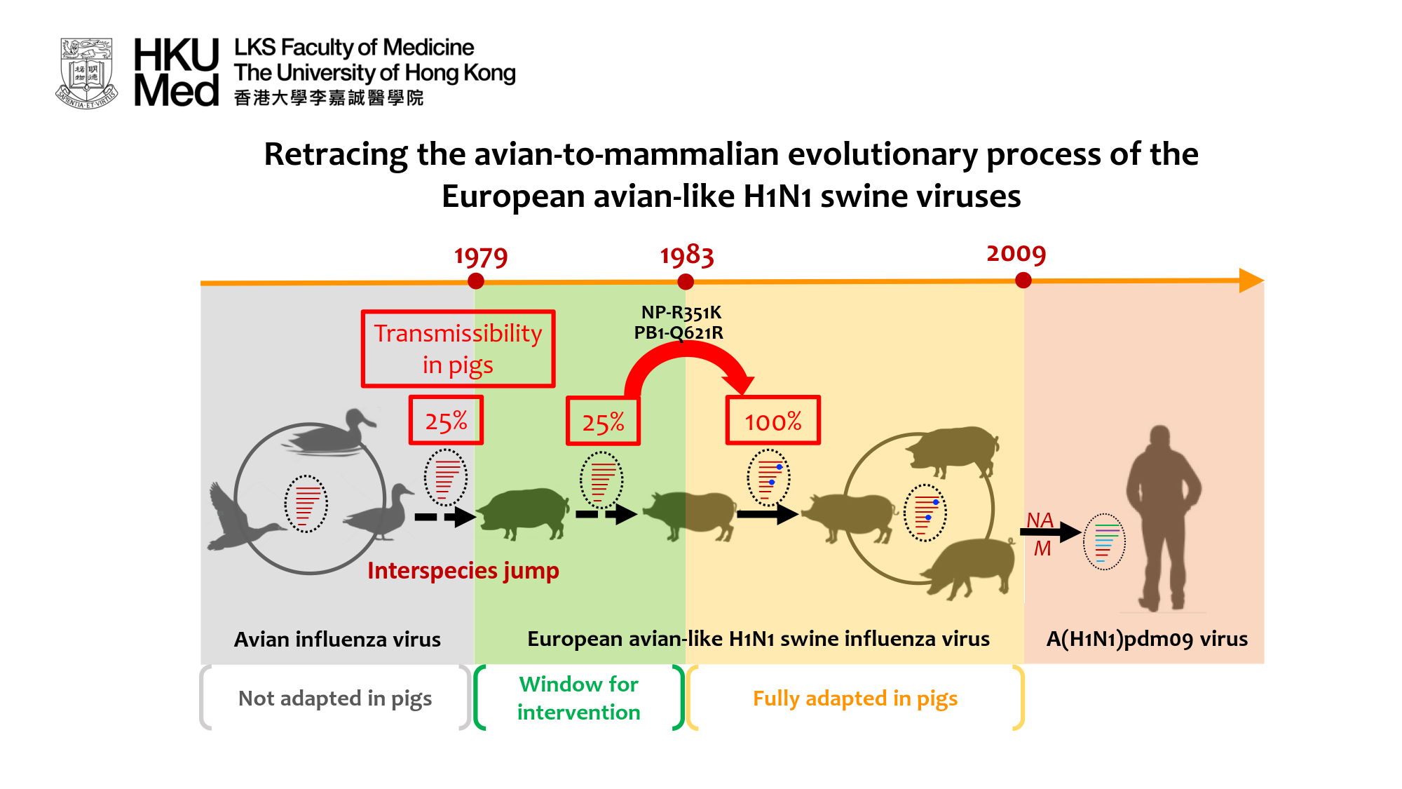 In this study, Su et al. investigated the molecular changes facilitated the avian-to-pig adaptation of the EA swine influenza viruses.