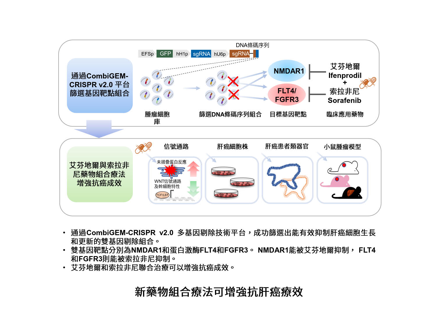 馬桂宜博士與研究團隊。