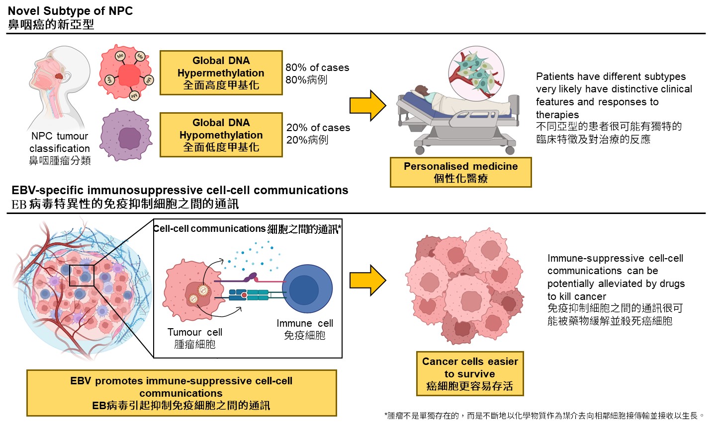 港大醫學院發現鼻咽癌的新亞型及EB病毒免疫抑制現象　有望成為鼻咽癌治療靶點