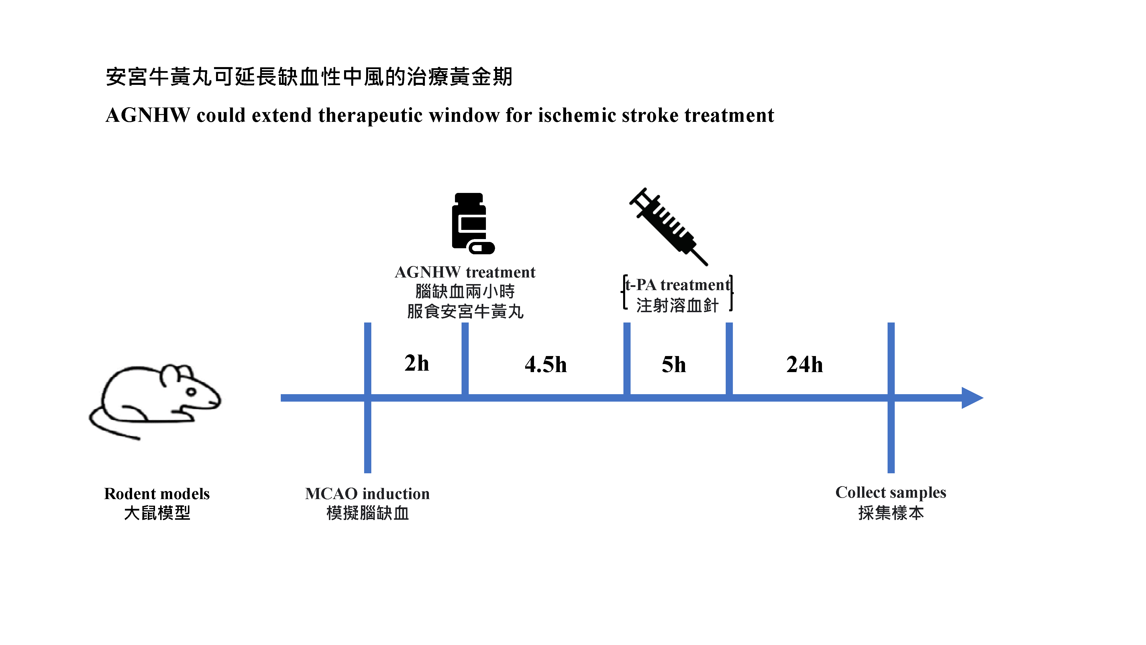 HKUMed discovers Angong Niuhuang Wan could reduce the side effects of thrombolytic therapy and extend therapeutic window for ischemic stroke treatment