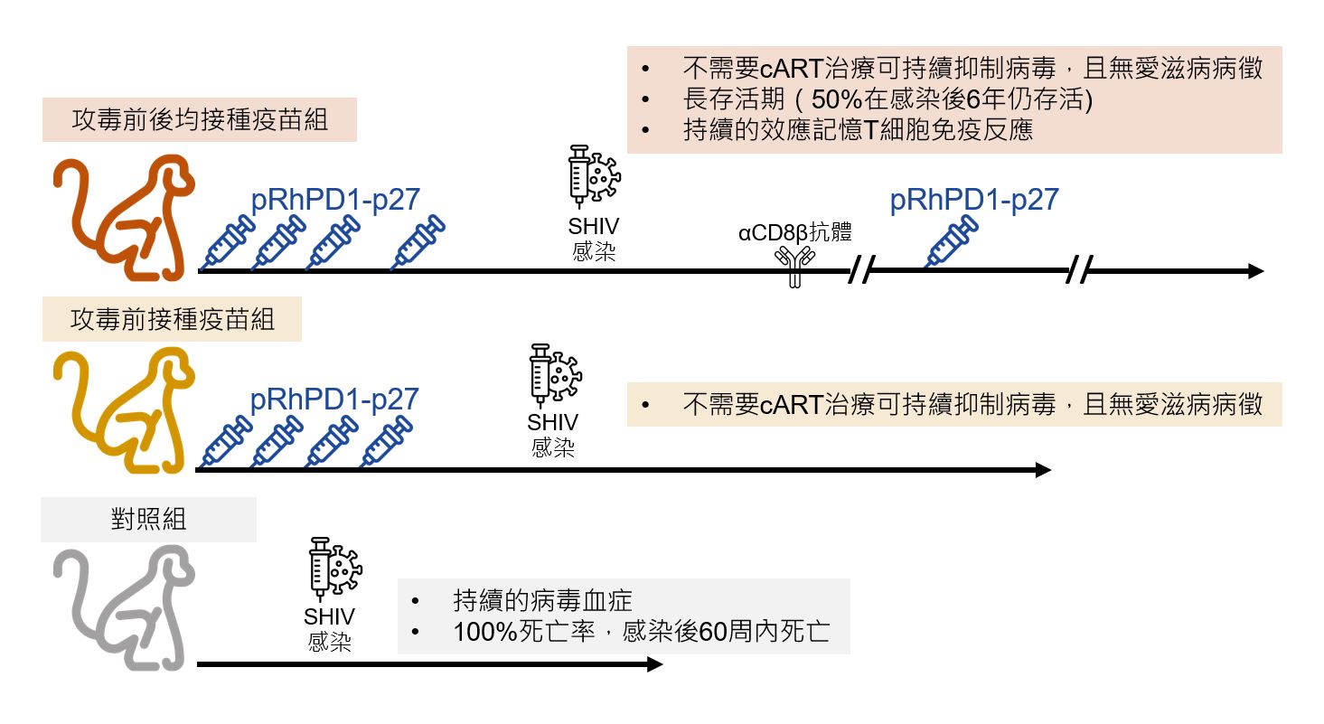 港大醫學院之標誌。