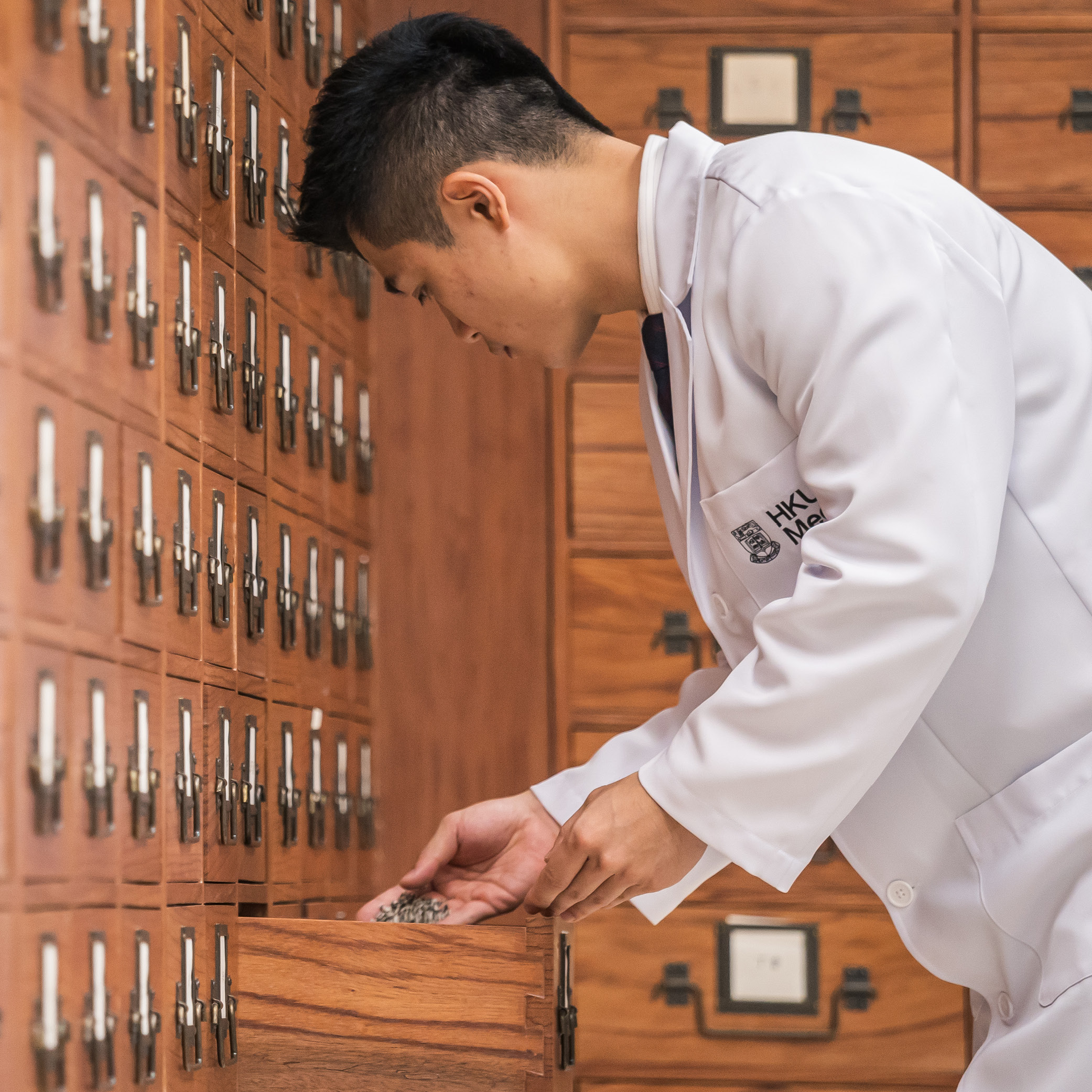A Chinese medicine student using a traditional Chinese apothecary cabinet.