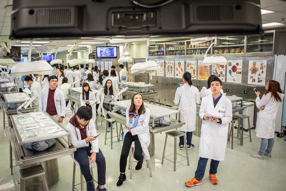 Students having a class in the anatomy lab.