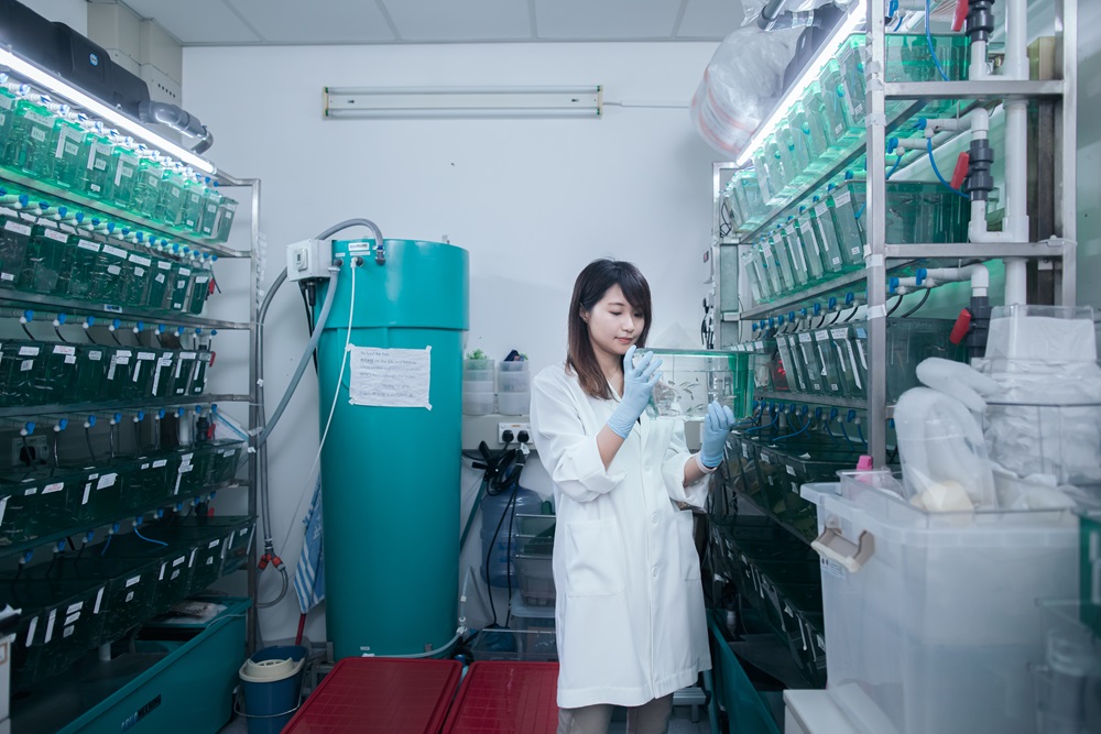 A research student working in a laboratory.