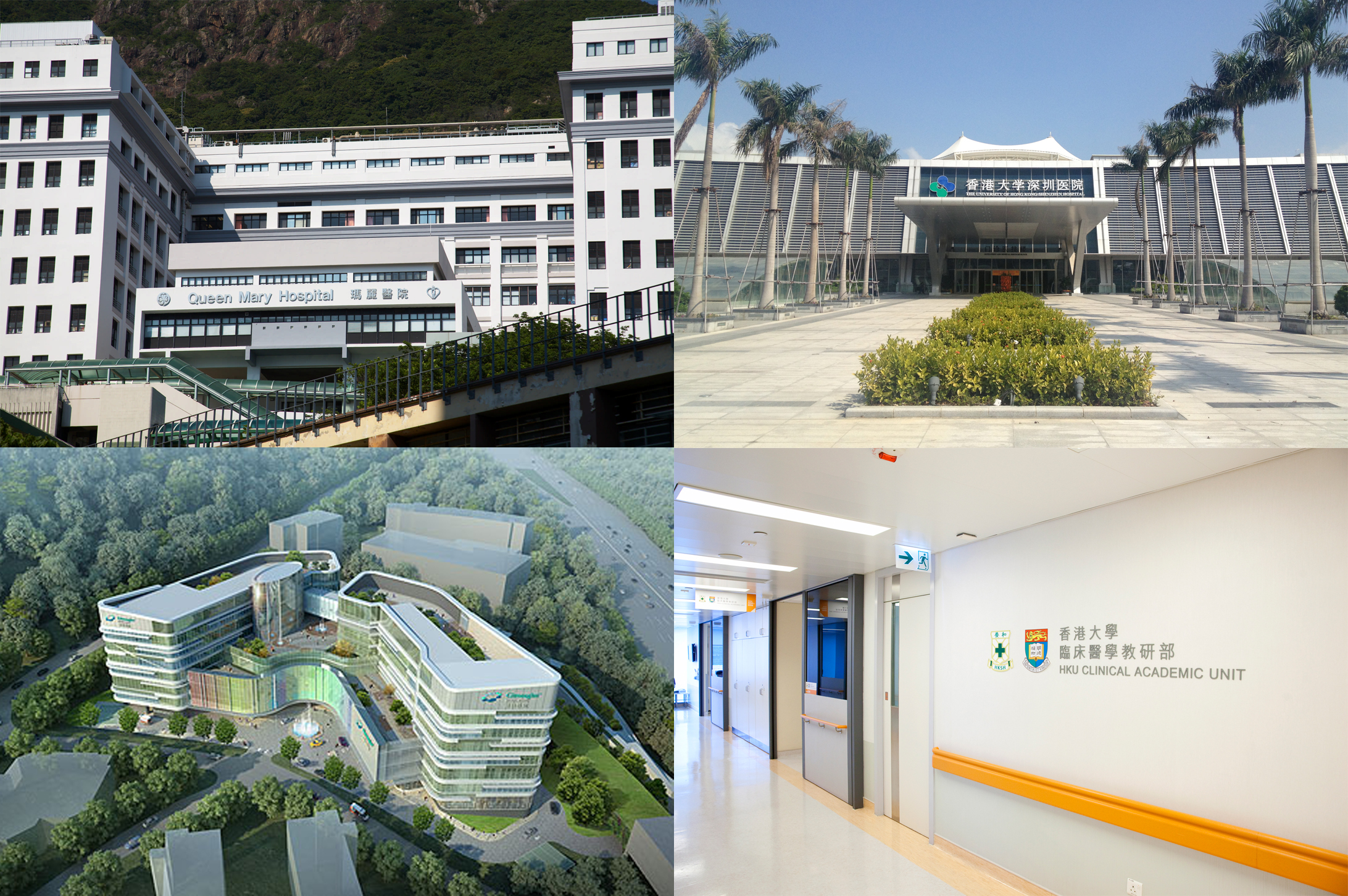 參與香港大學醫療系統的四間醫院。