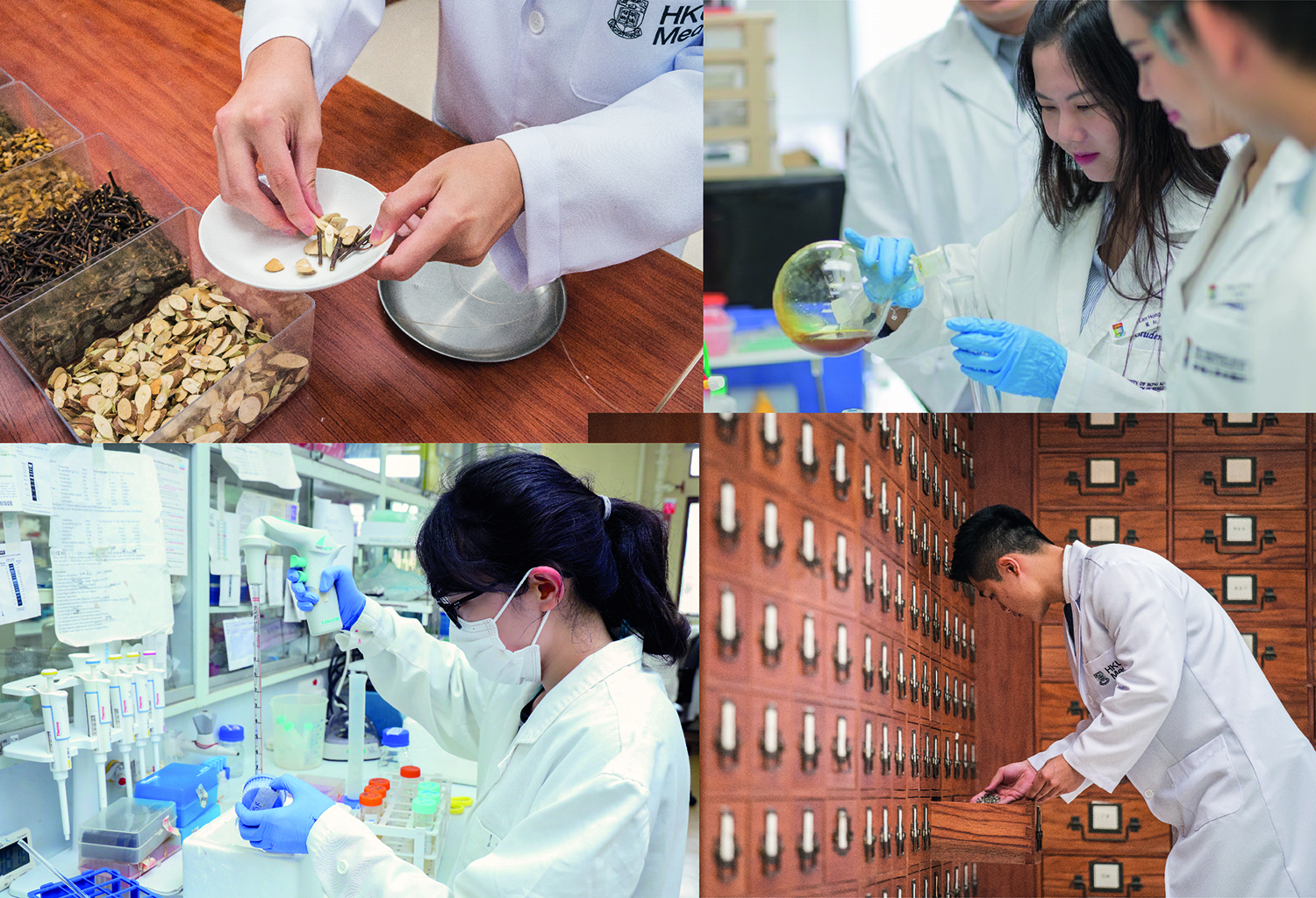 Researchers at the School of Chinese Medicine