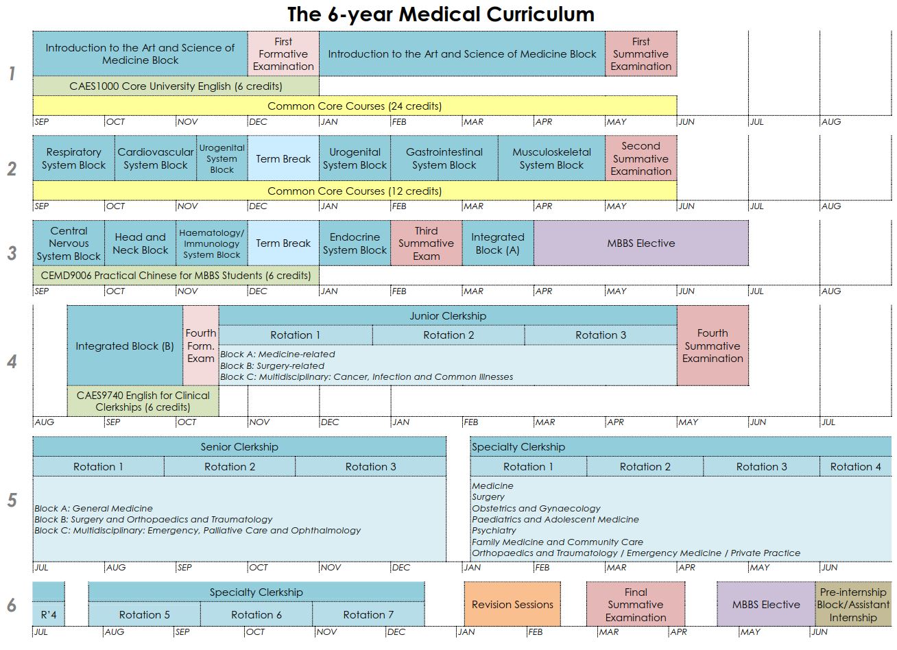 the 6 year medical curriculum