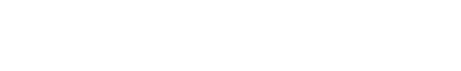 LI KA SHING FACULTY OF MEDICINE - THE UNIVERSITY OF HONG KONG